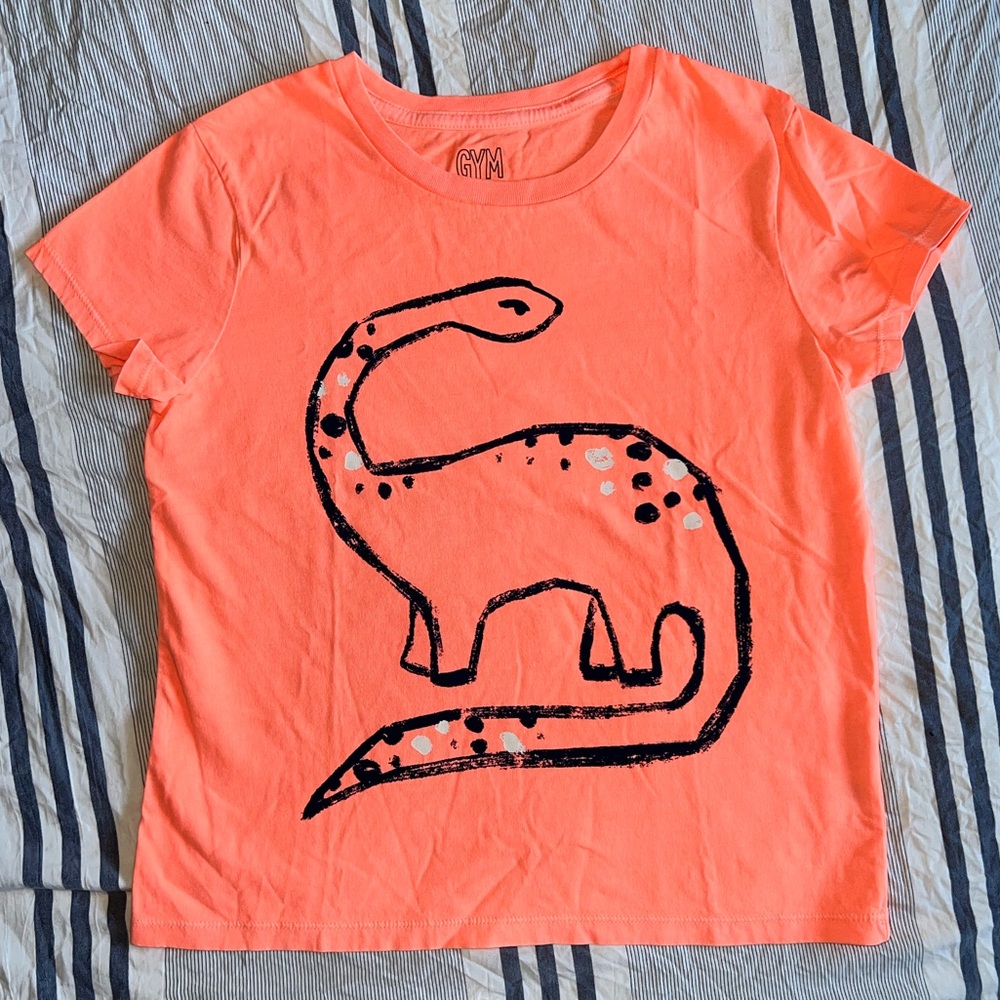 Gymboree Kids Orange Dinosaur Tee
